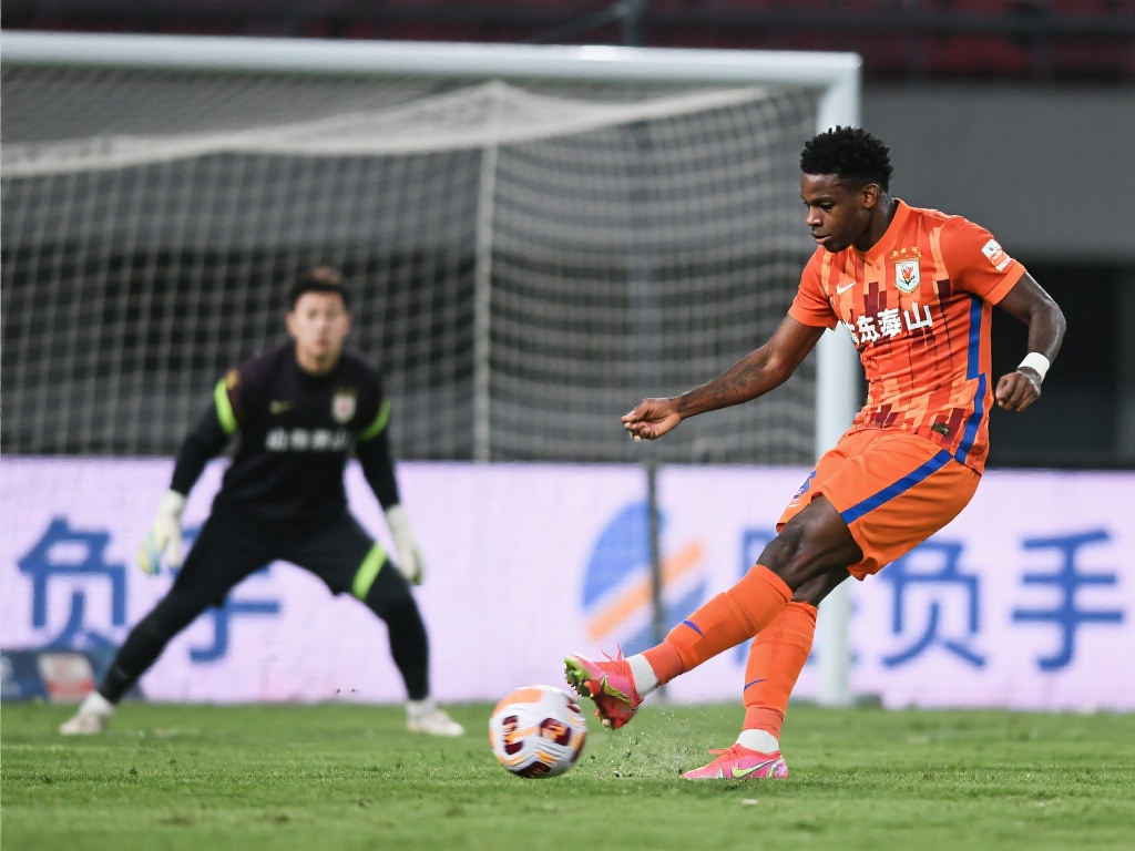 文章将探讨 文章将探讨